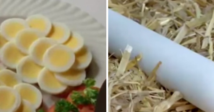 langegg