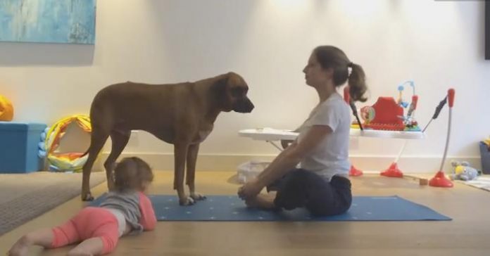 yogamatte