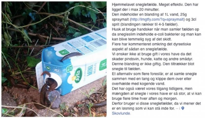 Hjemmelaget sneglefelle Hjemmelaget sneglefelle