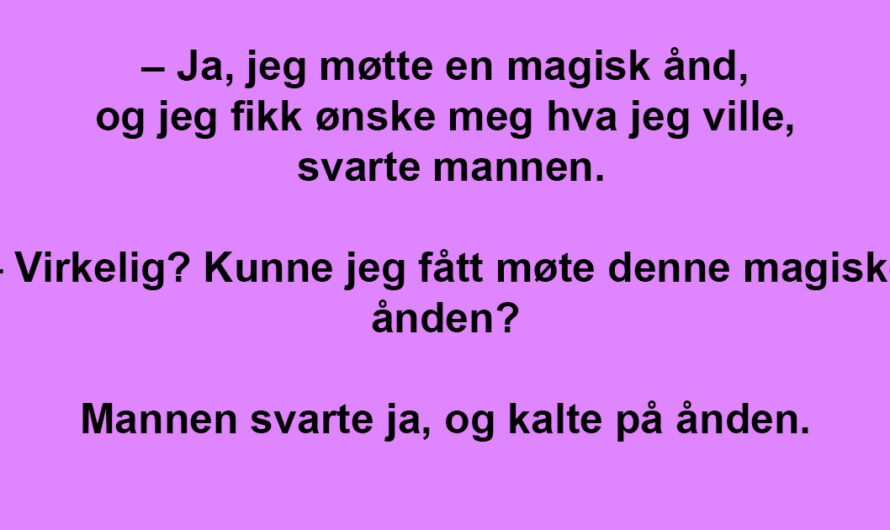 Hun fikk ønsket sitt oppfylt av en magisk ånd. Men resultatet? Jeg ler så tårene triller!