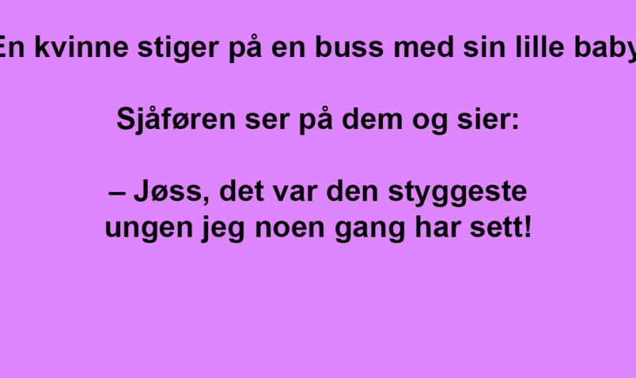 Bussjåføren fornærmet henne. Men det som skjedde? Jeg ler så jeg rister!