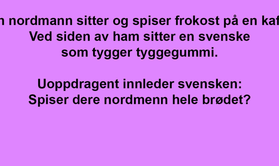Nordmannen traff en masete svenske. Men han visste hvordan han skulle få ham til å ti stille!