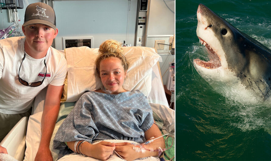 17-åringen ble angrepet av enorm hai. Da nøler ikke broren ett sekund, og slenger seg i vannet!