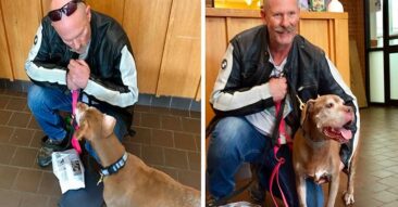Ingen ville adoptere denne søte 18 år gamle hunden. Men så ble en tøff biker forelsket!