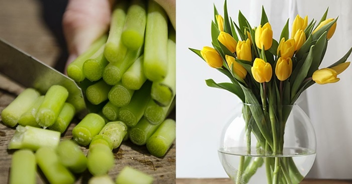 Slik får du tulipanene til å leve lengre. Dette trikset burde alle kunne!